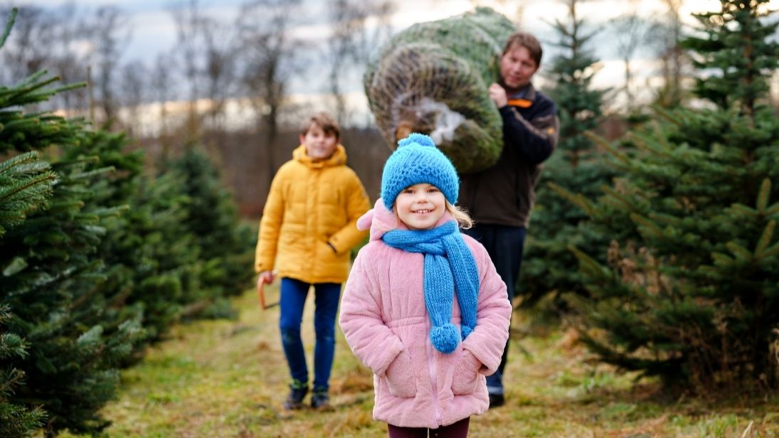 © Irina Schmidt/Adobe Stock